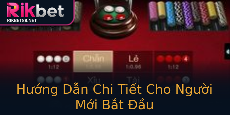 Hướng Dẫn Chi Tiết Cho Người Mới Bắt Đầu Hướng Dẫn Chi Tiết Cho Người Mới Bắt Đầu
