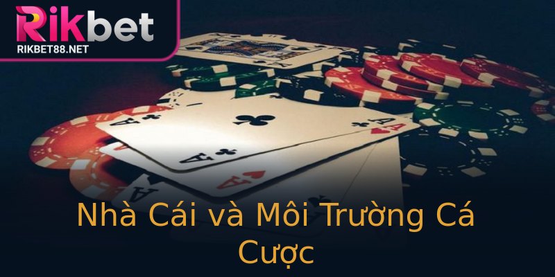 Nhà Cái và Môi Trường Cá Cược Nhà Cái và Môi Trường Cá Cược